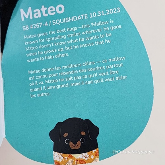 MATEO 🐶 Rottweiler Dog Hawaiian Shirt Original Squishmallow By Kellytoy NWT - Picture 8 of 8